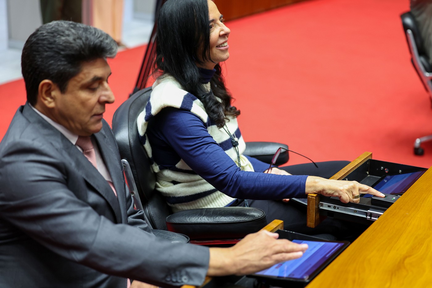 Reunião Ordinária de Plenário - análise de proposições