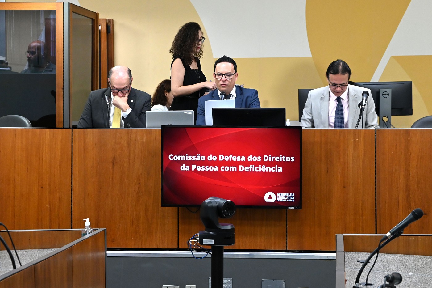 Comissão de Defesa dos Direitos da Pessoa com Deficiência - análise de proposições