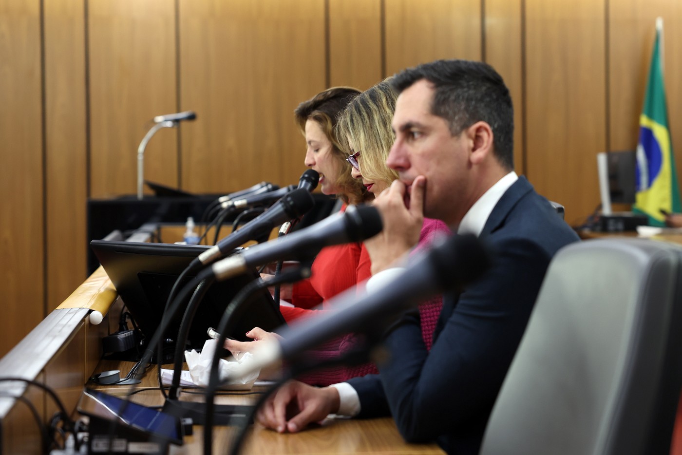 Comissão de Direitos Humanos - análise de proposições