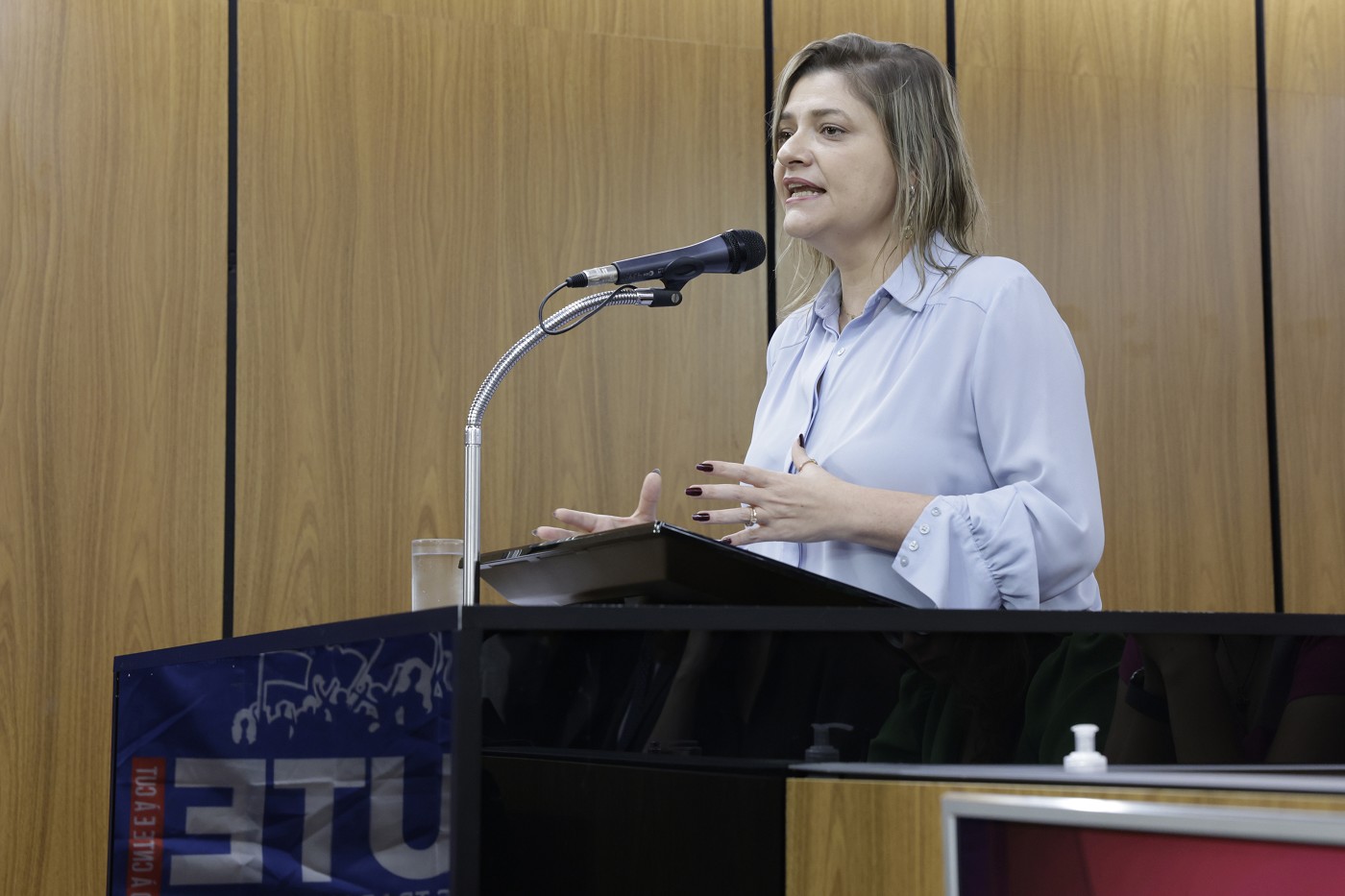 Comissão de Educação, Ciência e Tecnologia - debate sobre o reconhecimento dos professores da educação infantil como profissionais do magistério