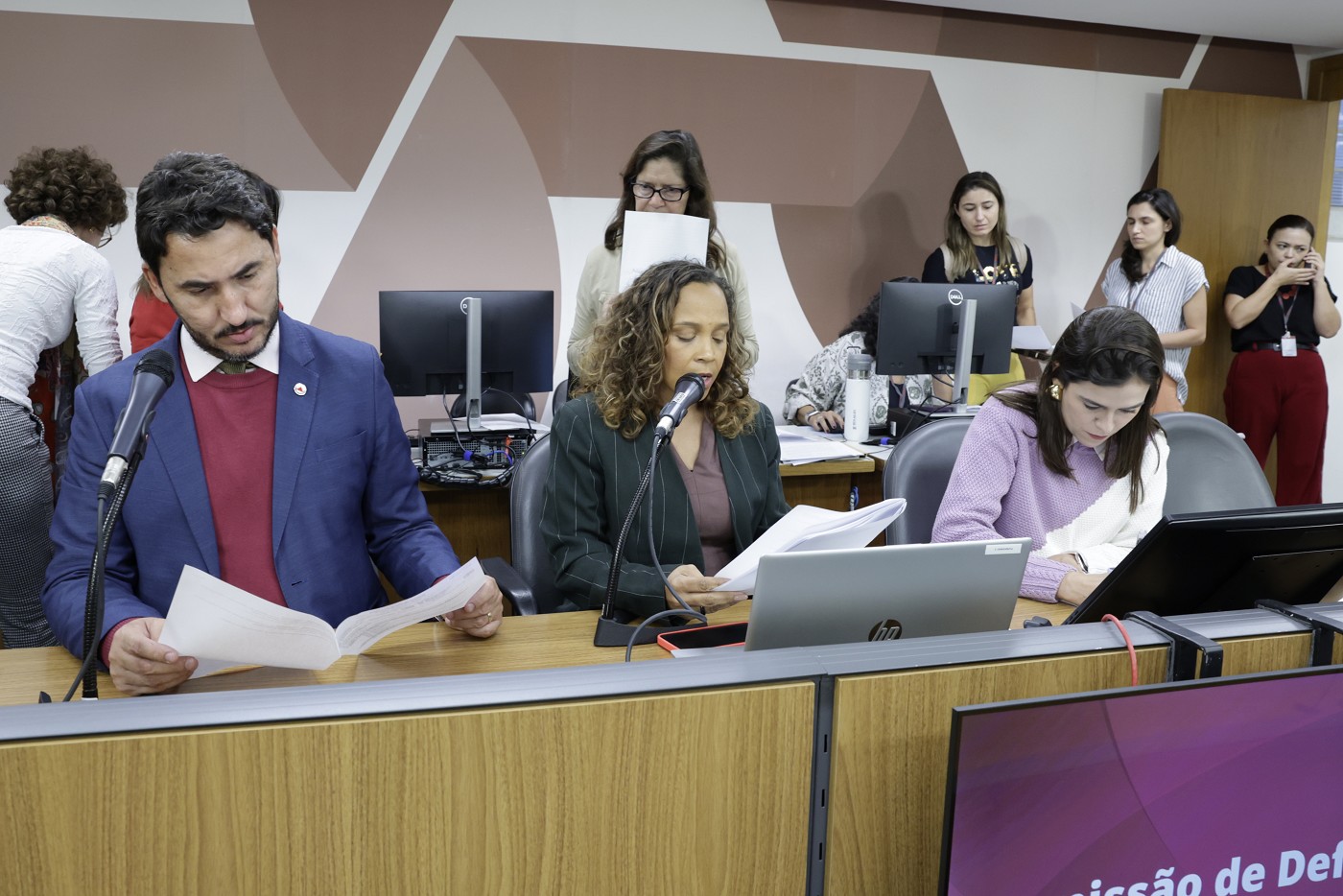 Comissão de Defesa dos Direitos da Mulher - análise de proposições
