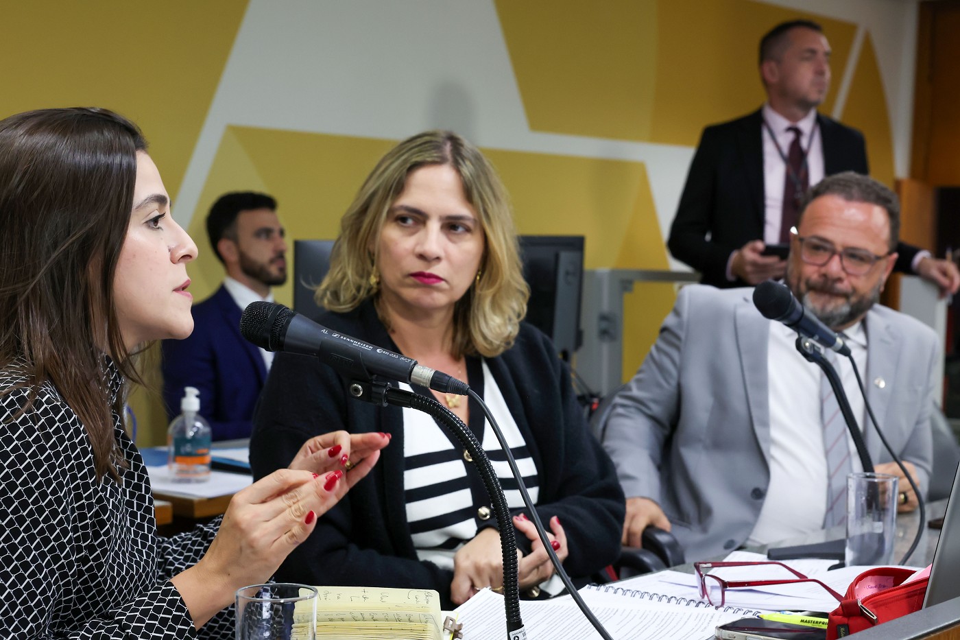 Comissão de Educação, Ciência e Tecnologia analisa proposições