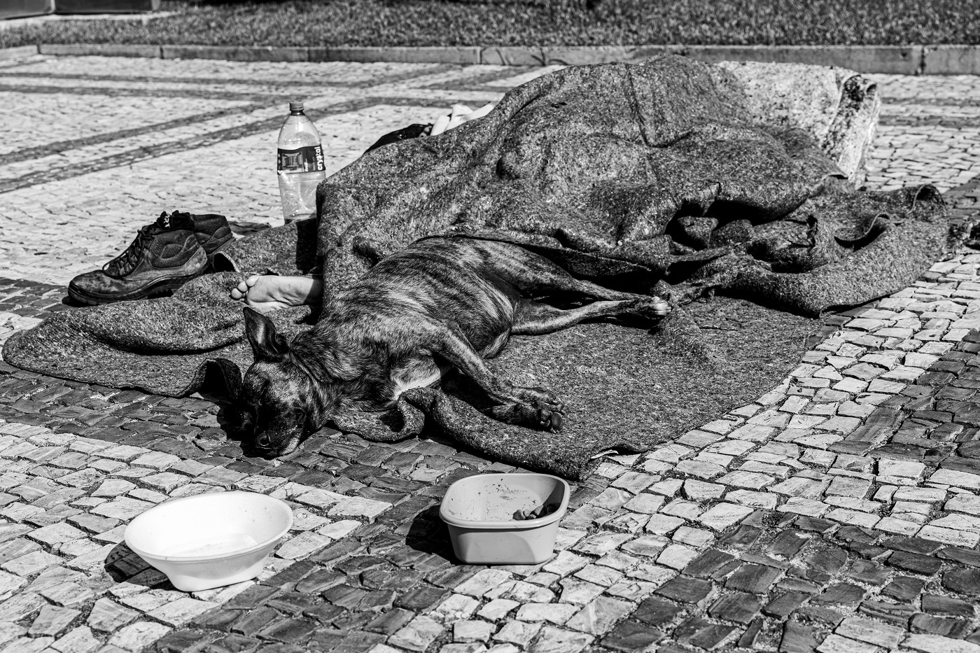 Banco de Imagens - Pessoa em Situação de Rua