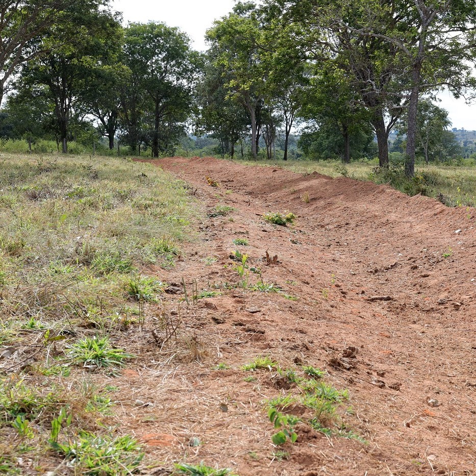 Vale do Jequitinhonha recebe Dia de Campo das Vitrines de Barraginhas