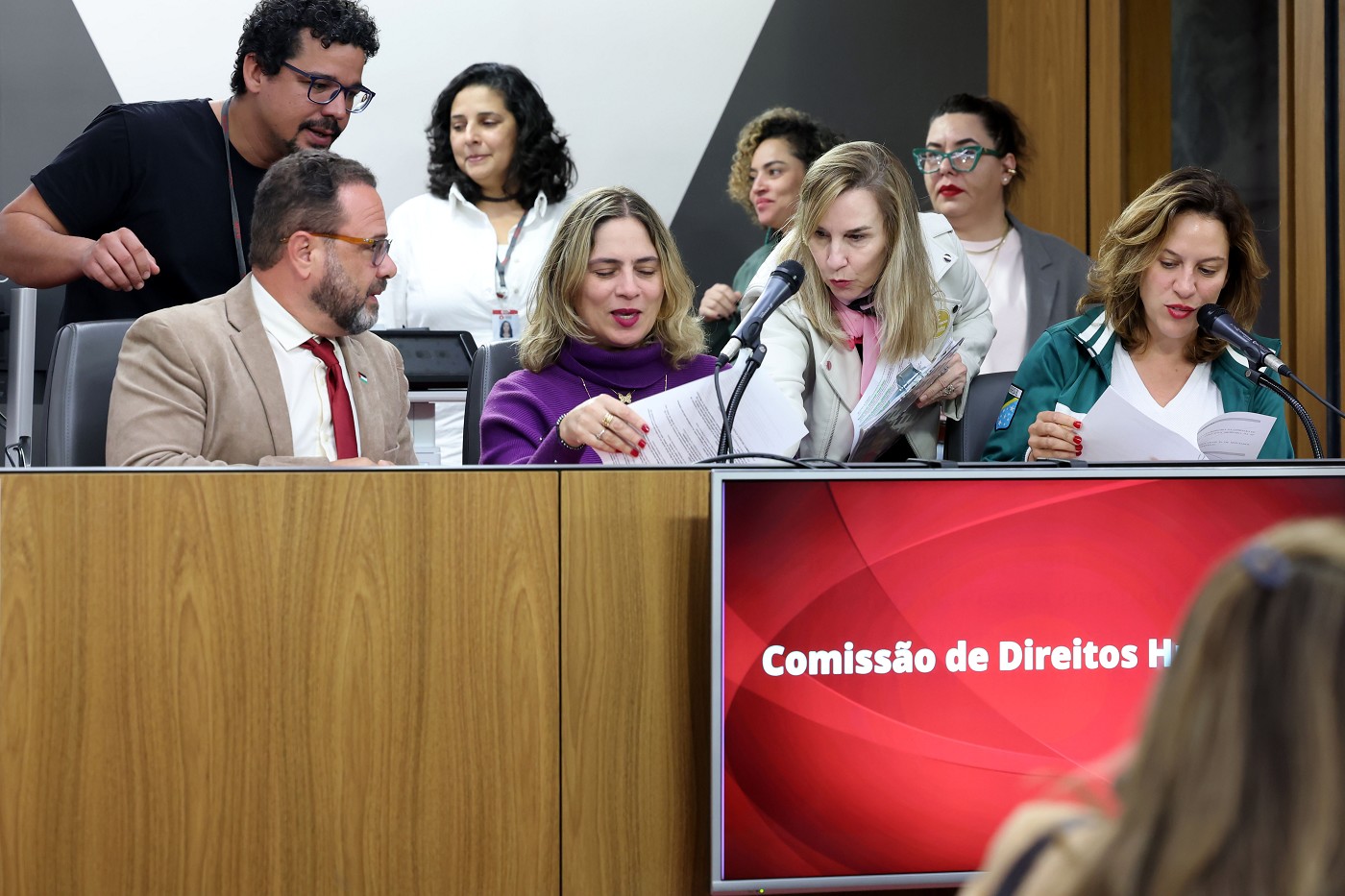 Comissão de Direitos Humanos - análise de proposições