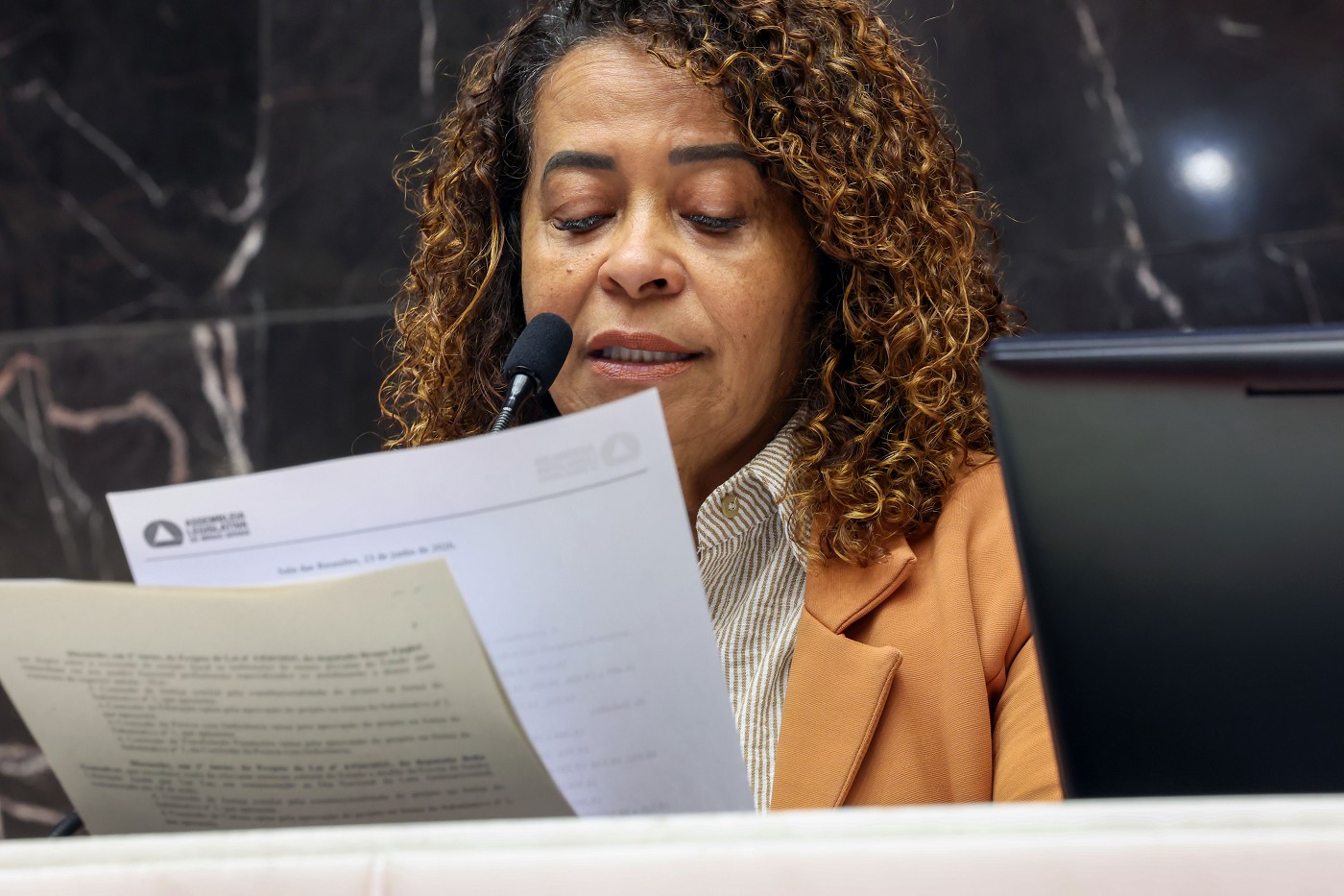Reunião Ordinária - tarde - análise de proposições