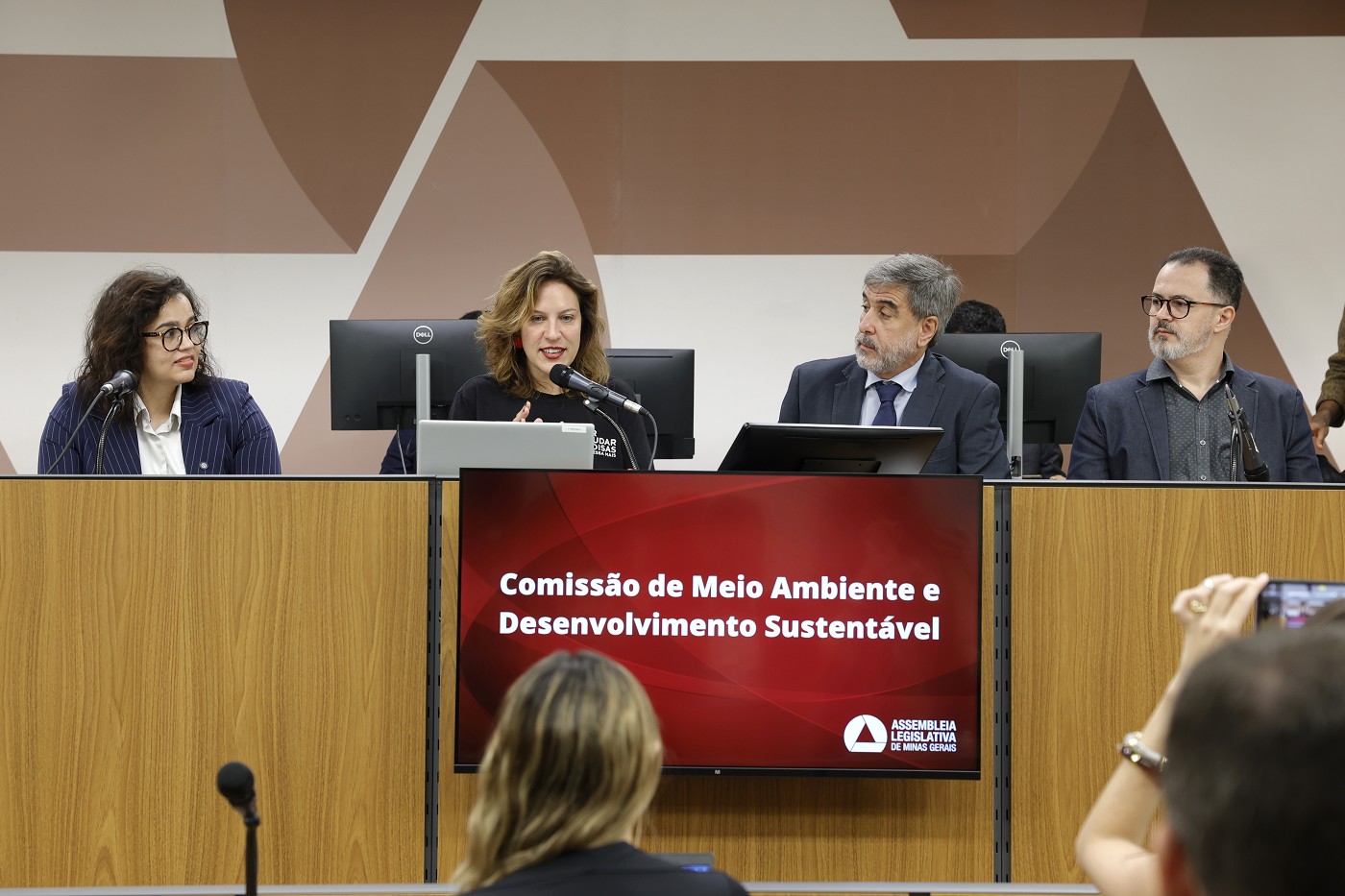 Comissão de Meio Ambiente e Desenvolvimento Sustentável - debate sobre a instalação de data center em Uberlândia