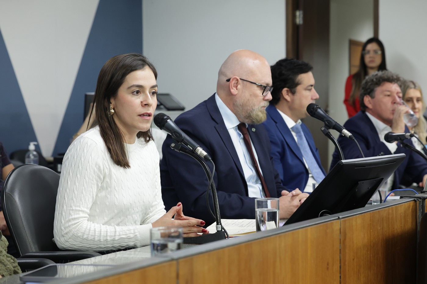 Comissão de Cultura - debate sobre os impactos da reforma tributária nas leis de incentivo à cultura e ao esporte