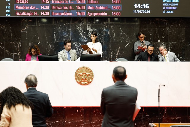 Reunião Ordinária - tarde - análise de proposições