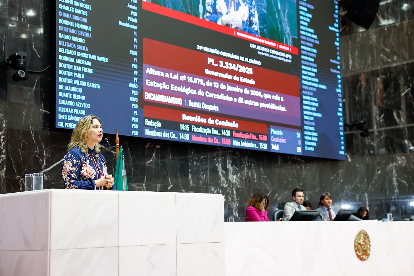 Reunião Ordinária - tarde - análise de proposições