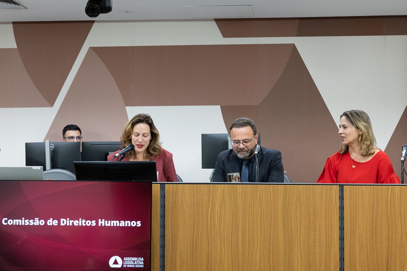 Comissão de Direitos Humanos - análise de proposções