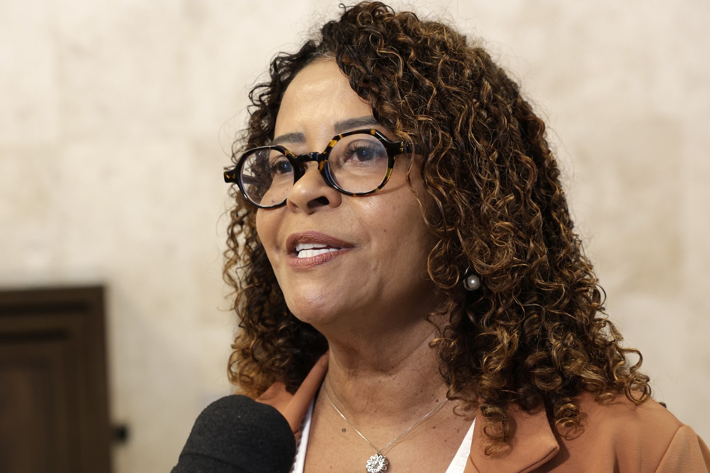 Reunião do Conselho da Medalha Juscelino Kubitschek