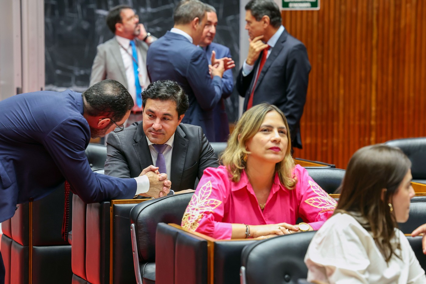 Reunião Ordinária de Plenário - tarde - análise de proposições