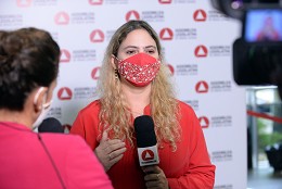 CPI da Cemig - apreciação do  relatório final