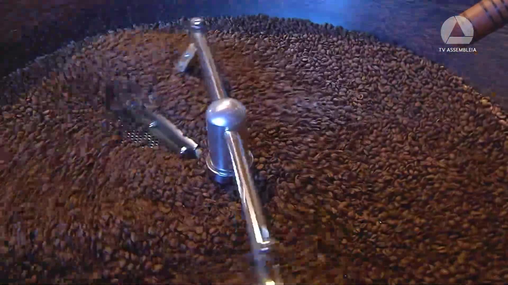 Cafeicultores usam novas técnicas para lidar com eventos climáticos extremos