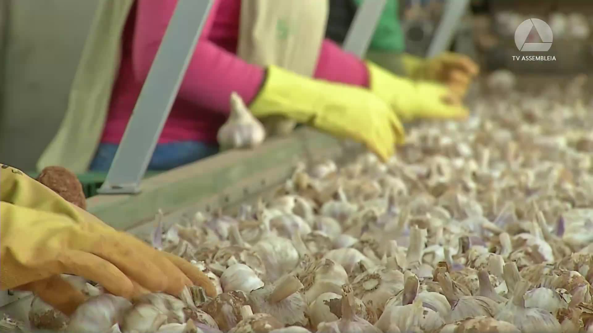 Produtos importados ameaçam agronegócio da região de Patos de Minas