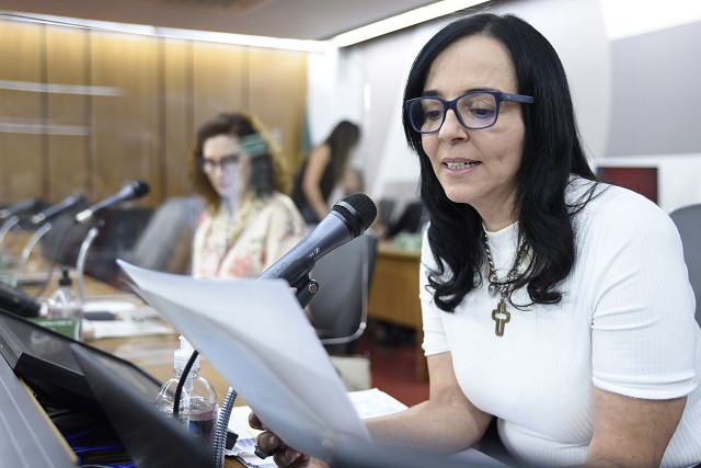 Deputada Ione Pinheiro, procuradora-geral da Mulher, vai participar da atividade - Arquivo ALMG