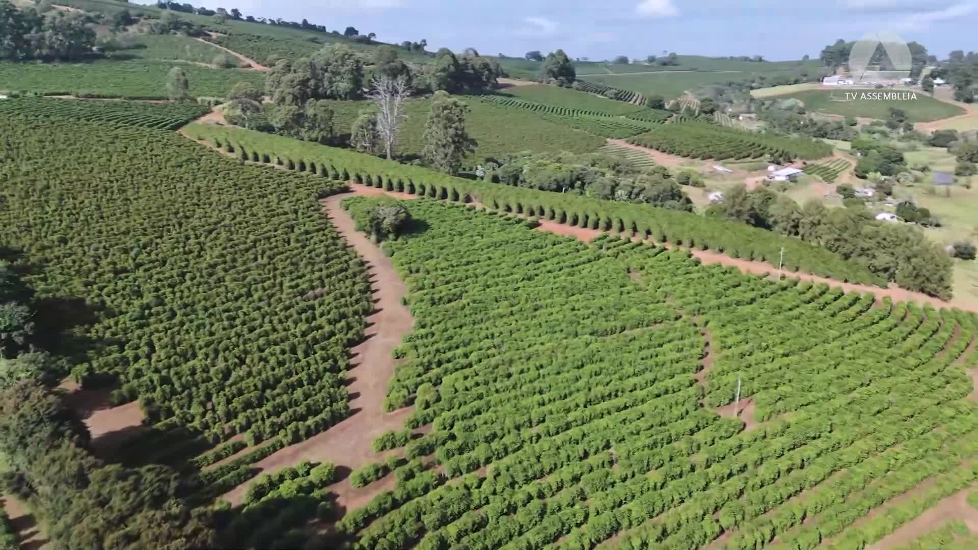 Varginha e Pouso Alegre: diversificação da economia é desafio para o próximo governador