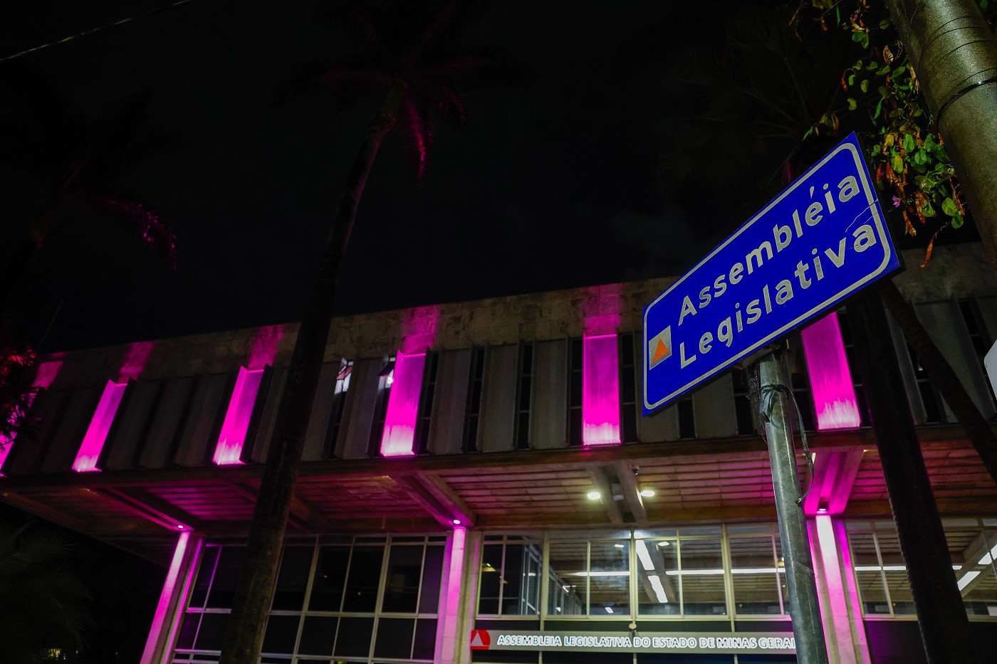 Laços da Consciência -  Outubro Rosa