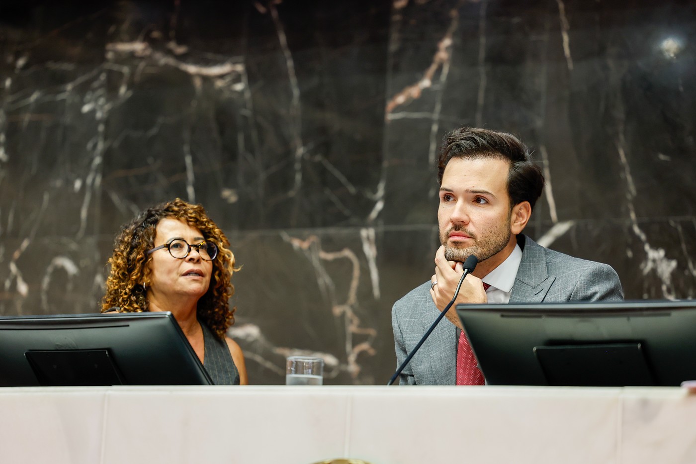 Reunião Ordinária - tarde - análise de proposições