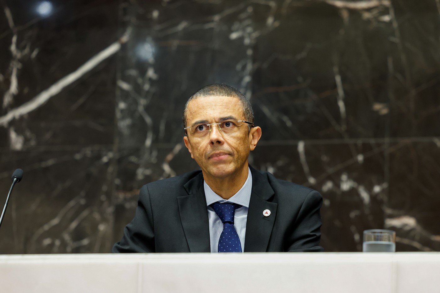 Reunião Ordinária - tarde - análise de proposições