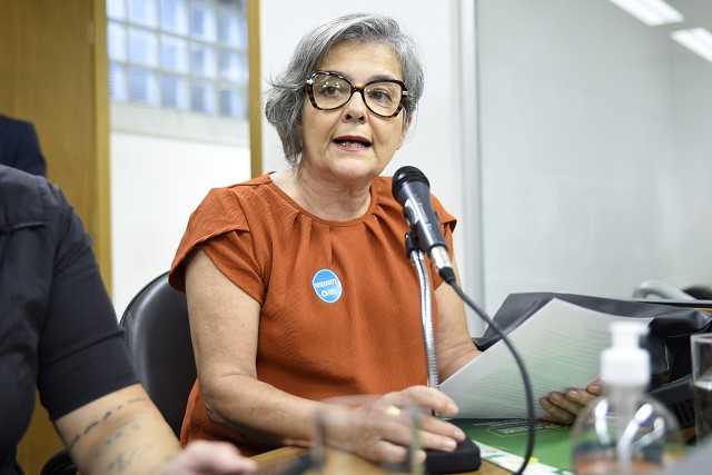 Comissão de Cultura - debate sobre a implementação da Lei Paulo Gustavo