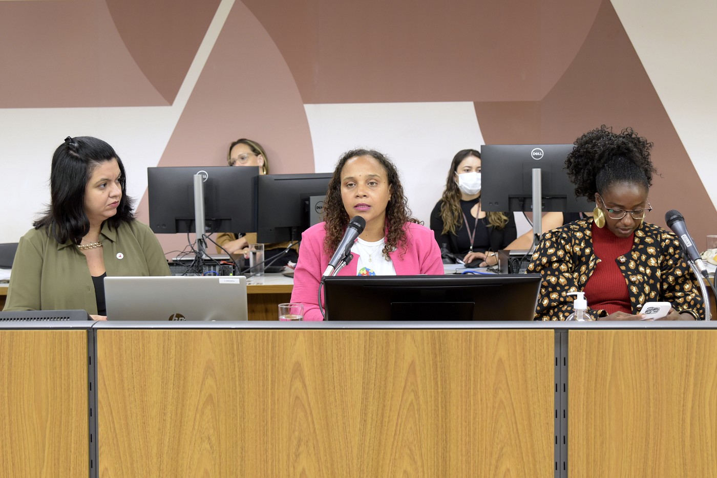Comissão de Defesa dos Direitos da Mulher - análise de proposições