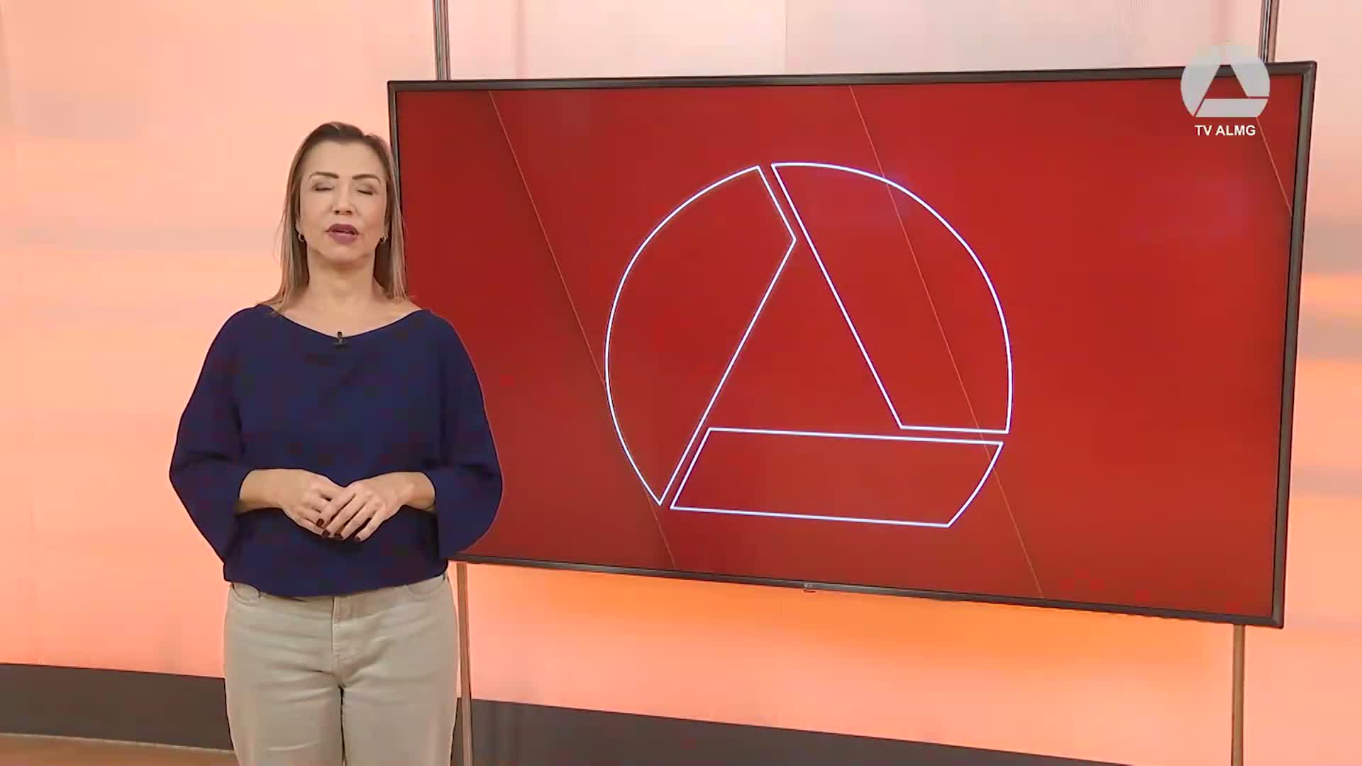 Assembleia em Destaque