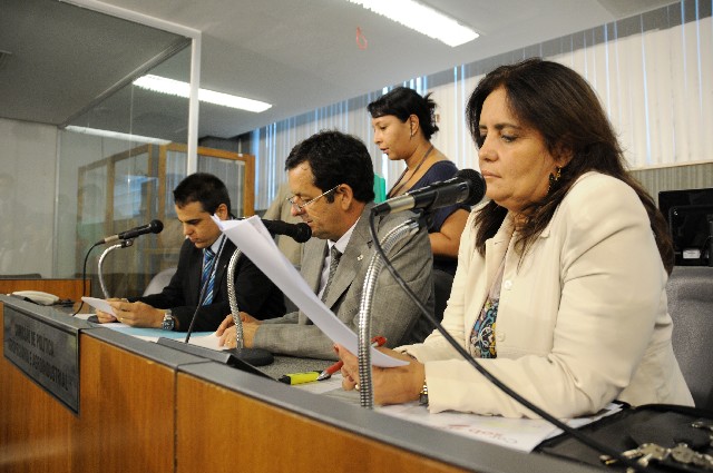 Deputados aprovaram parecer sobre projeto de lei que trata de queijos artesanais.