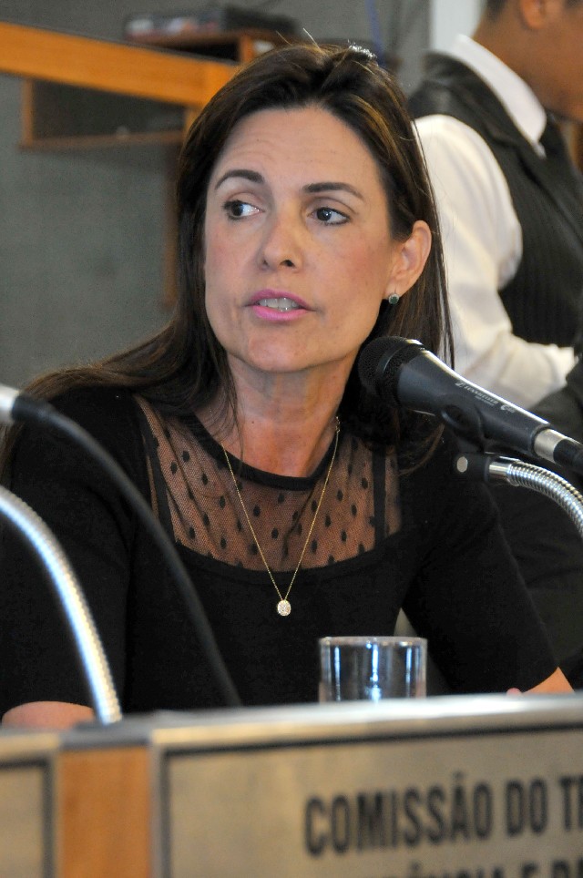 Rafaela Gigliotti foi taxativa ao afirmar que o sistema não foi criado para despachantes autônomos