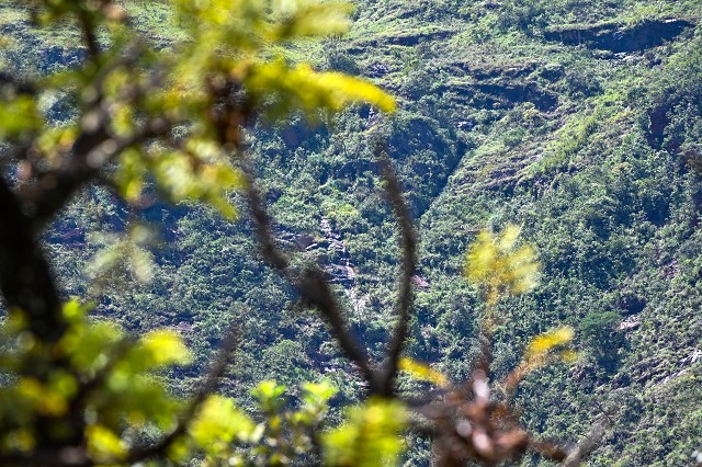 Comissão de Meio Ambiente e Desenvolvimento Sustentável - visita a Brumadinho