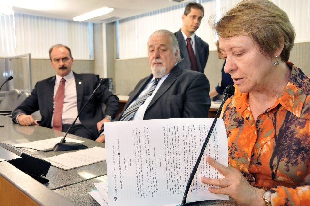 Luzia Ferreira opinou pela aprovação do projeto e não propôs alterações em relação ao texto aprovado pelo Plenário em 1º turno