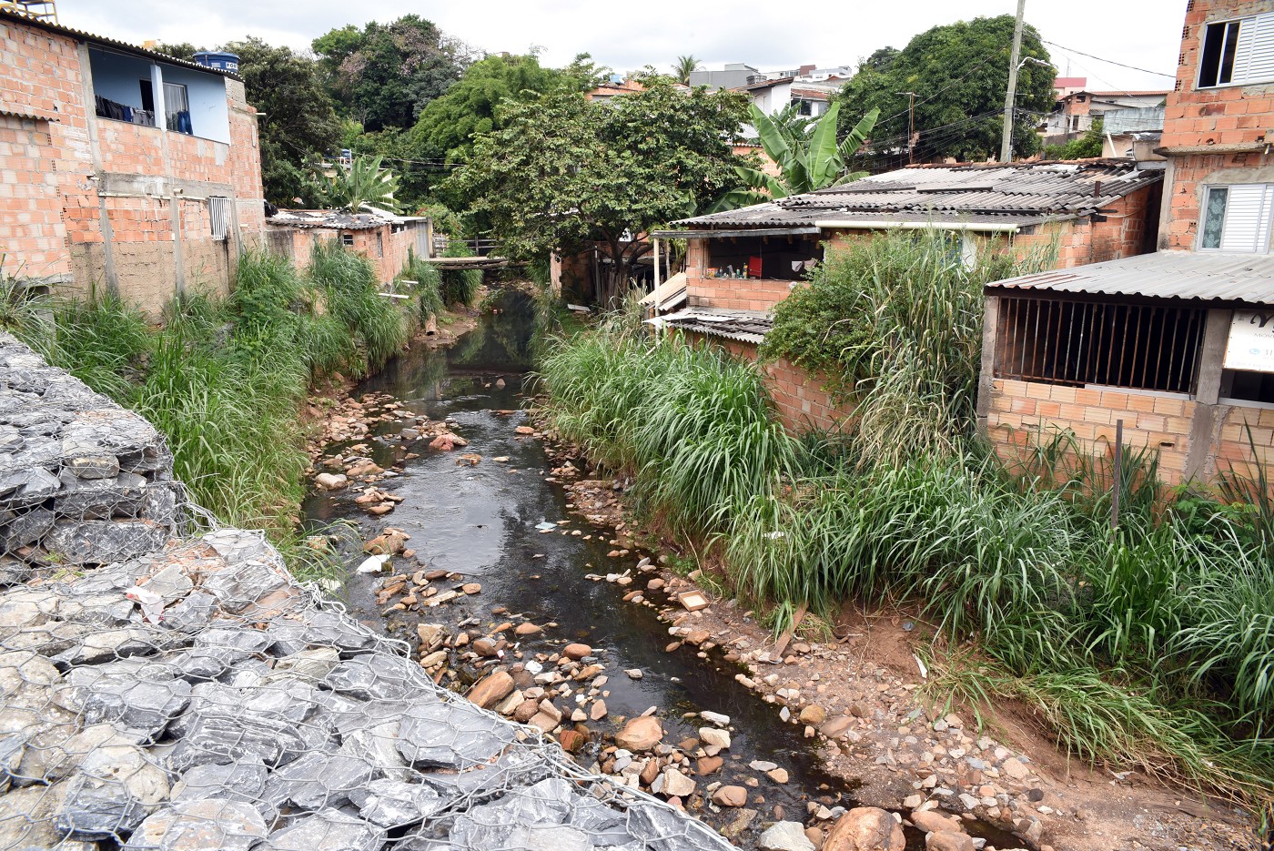 Comissão de Meio Ambiente e Desenvolvimento Sustentável - visita às imediações do Córrego do Cercadinho, da Mata do Havaí e da horta do Projeto Cemar