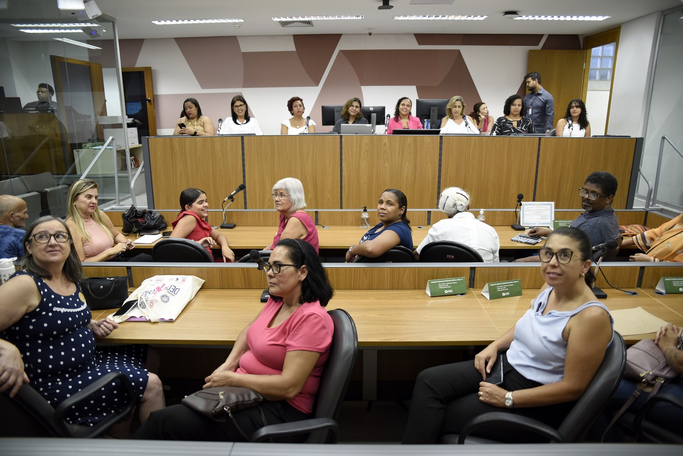 Comissão de Defesa dos Direitos da Mulher - debate sobre cuidadoras de idosos