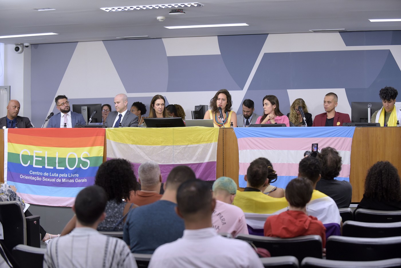Comissão de Direitos Humanos - debate sobre o registro civil de pessoas não binárias