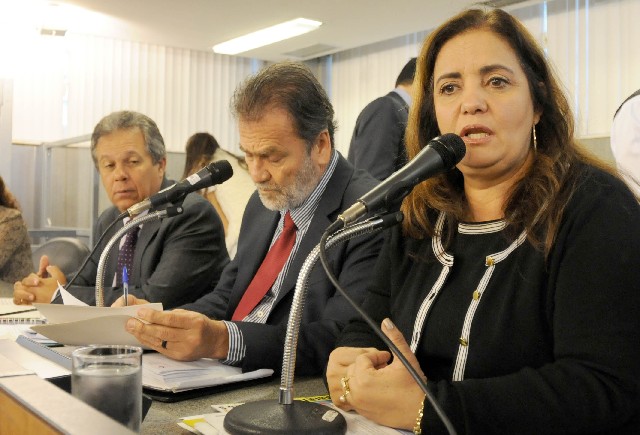 Deputada destaca a importância dos dados na elaboração de políticas específicas para o segmento