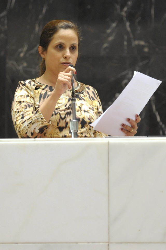 Celise Laviola apresentou dados de levantamento feito pela Secretaria de Defesa Social