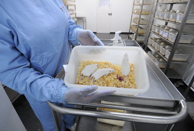 Projeto de Lei (PL) 2.844/15 foi aprovado na Assembleia em dezembro passado - Arquivo ALMG