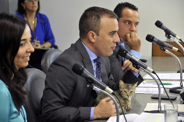 Durante a reunião foi apresentada a nova mascote da comissão, a gata Nora, abandonada em Macacos