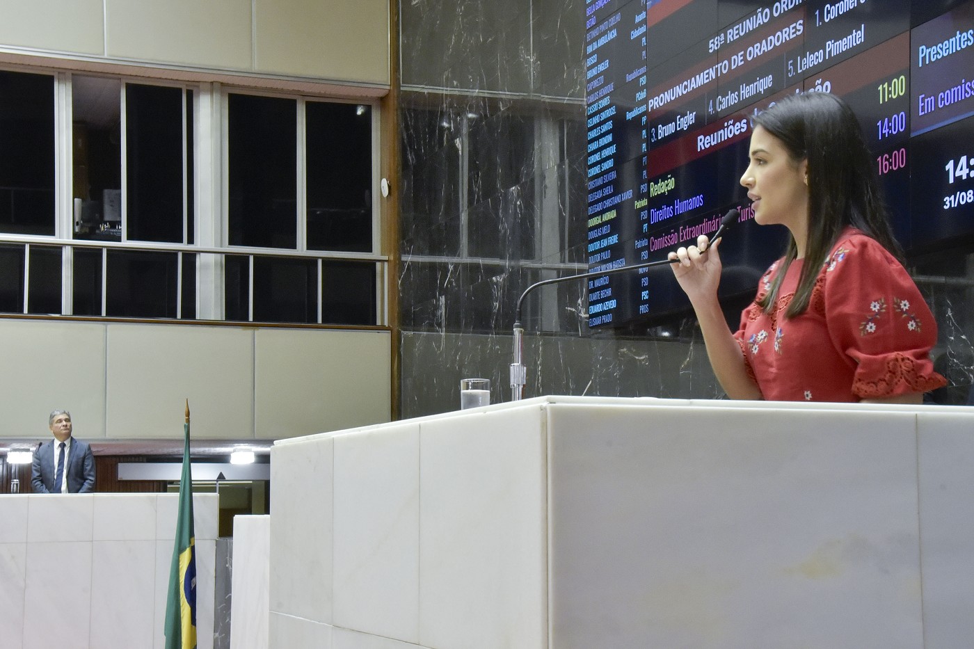 Reunião Ordinária - tarde - análise de proposições