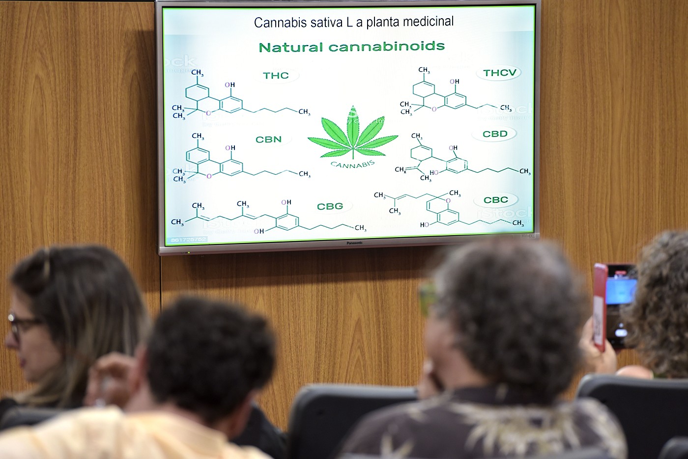 Debate público - Cannabis e ciência: evidências sobre o uso terapêutico e seus meios de acesso - Mesa 2