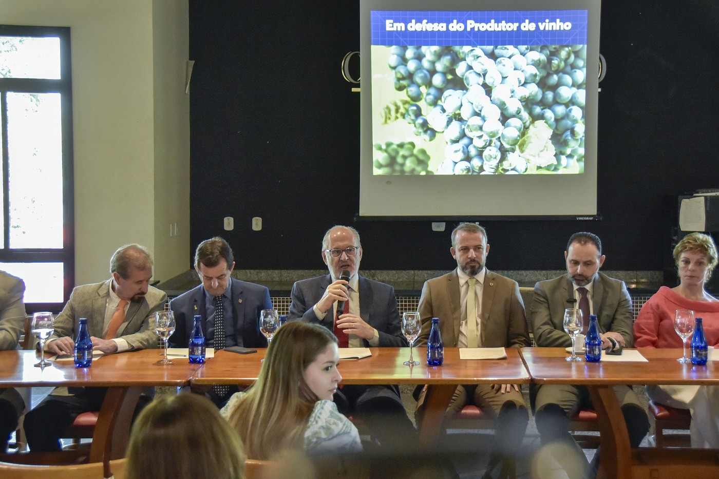 Comissão de Desenvolvimento Econômico - debate sobre os desafios do setor de vinhos
