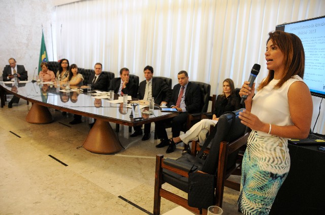 Promotora Nívia Mônica mostrou como as promotorias se organizam para atender às demandas