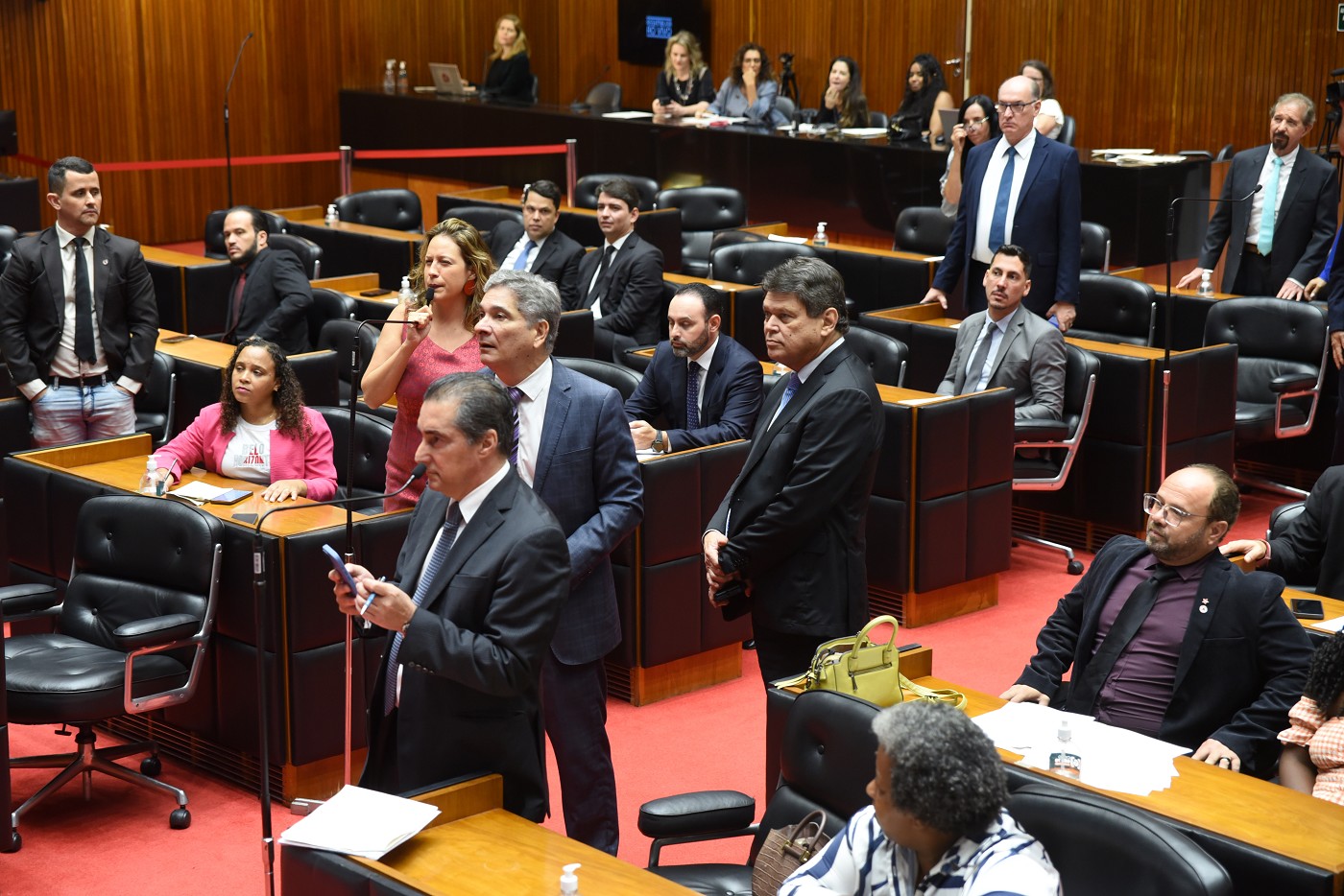 Reunião Extraordinária - manhã - análise de proposições